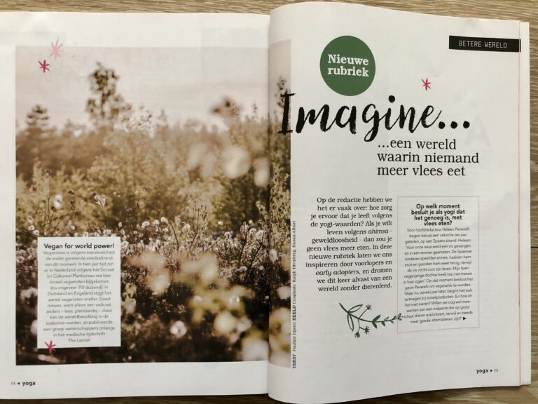 Pauline Bijster | Freelance journalist & copywriter